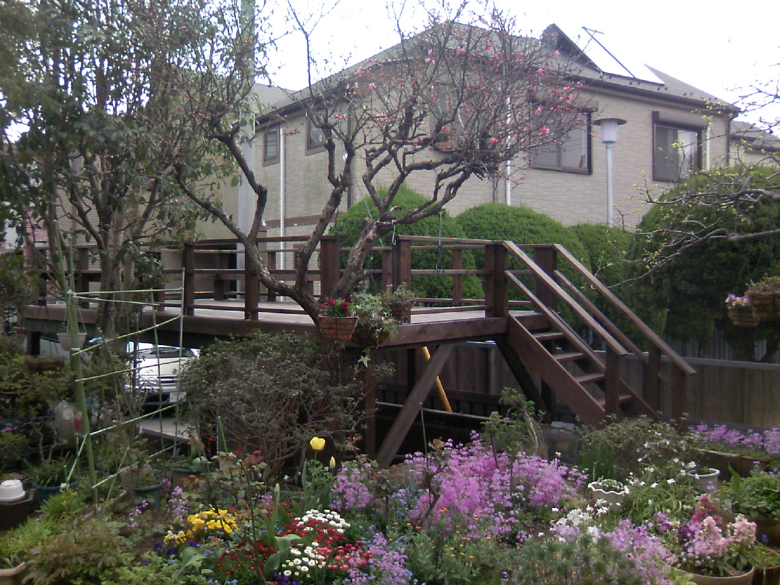 �E�b�h�f�b�L�A�p�[�S���A�t�F���X�{�H��