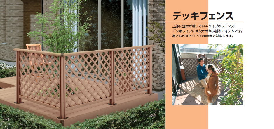 �f�b�L�t�F���X