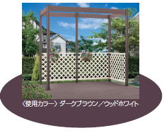 �_�[�N�u���E��